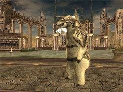 画像ギャラリー No.004のサムネイル画像 / 「ラストカオス」冬の寒さにも負けないペット「白クマ」が12月に登場