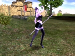 画像ギャラリー No.003のサムネイル画像 / 「ラストカオス」種族メイジなどを紹介,第3回「ラスカオ情報局」