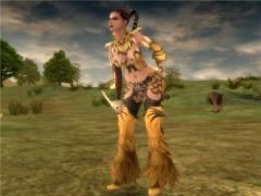 画像ギャラリー No.007のサムネイル画像 / 「ラストカオス」種族メイジなどを紹介,第3回「ラスカオ情報局」