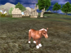 画像ギャラリー No.012のサムネイル画像 / 「ラストカオス」種族メイジなどを紹介,第3回「ラスカオ情報局」