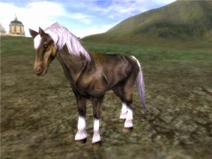 画像ギャラリー No.013のサムネイル画像 / 「ラストカオス」種族メイジなどを紹介,第3回「ラスカオ情報局」