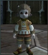 画像ギャラリー No.015のサムネイル画像 / MMORPG「ラストカオス」,新種族「ナイトシャドウ」を含む大型アップデート「エクステンションパック2」を2010年2月18日に実装!