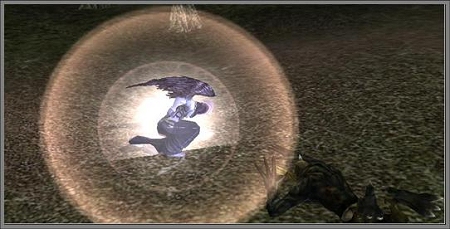 ꡼ No.018Υͥ / ²ȥʥȥɥɤо졪֥饹ȥפ緿åץǡȡ֥ƥ󥷥ѥå2פ