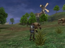 ꡼ No.007Υͥ / ߥ˥ശФǳڤ֥饫åȥƥоͽꡣ֥饹ȥפΡ2010ǯȾåץǡȥץɤܤ褦