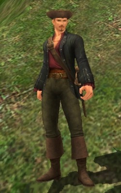 画像ギャラリー No.008のサムネイル画像 / 「ラストカオス」,アップデートでソケットシステムや新規ペットを実装