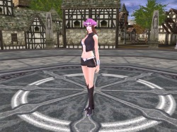 画像ギャラリー No.009のサムネイル画像 / 「ラストカオス」,アップデートでソケットシステムや新規ペットを実装