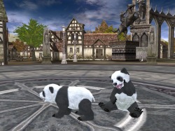 画像ギャラリー No.013のサムネイル画像 / 「ラストカオス」,アップデートでソケットシステムや新規ペットを実装