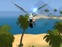 ꡼ No.007 | ִסåץǡȤǡִȢ׼󥸥Υࡼӡ