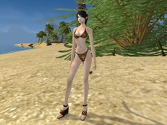 ������#006�Υ���ͥ���/��Perfect World�ס��ֿ���������������������24���ָ��ꥭ���ڡ��󡣿��������⥹������