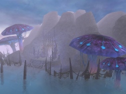 ꡼ No.006 | ²Ͽ͵Perfect World ݴݡפ鿴ѥСά3ǯ˸Ƥư