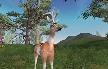 ���������꡼ No.010�Υ���ͥ������ / ��Perfect World -��������-�׼������åץǡ��Ȥο����󡣡ָ׸���õ���������ȡפΥ��ꥢ�󽷤Ϥ��äפ�ηи��ͤ�SP��