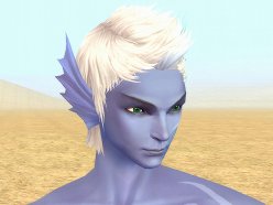 ���������꡼ No.006�Υ���ͥ������ / ��Perfect World�ס�1��25���Υ��åץǡ��Ȥǿ������ʤɤ�����