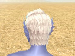 ���������꡼ No.007�Υ���ͥ������ / ��Perfect World�ס�1��25���Υ��åץǡ��Ȥǿ������ʤɤ�����