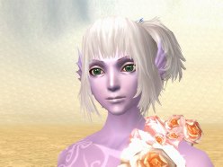 ���������꡼ No.008�Υ���ͥ������ / ��Perfect World�ס�1��25���Υ��åץǡ��Ȥǿ������ʤɤ�����