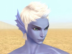 ���������꡼ No.005�Υ���ͥ������ / ��Perfect World�ס��������������ƥ�ܥå���������ȯ��