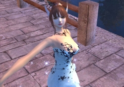 ꡼ No.003 | Perfect WorldסåץǡȡUNITED CELEBRATIONɼ»222