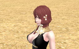 画像ギャラリー No.013のサムネイル画像 / 「パーフェクトワールド」,アップデート「時空を超える絆 ‐夢幻宮‐」を実施