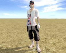 ꡼ No.006Υͥ / ֥ѡեȥɡץåץǡȡNightmare illusionפ87˼»ܡߥȤǤϥåץǡȳפ