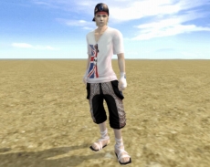 ���������꡼ No.008�Υ���ͥ������ / �֥ѡ��ե����ȥ��� -��������-�פ�8��åץǡ��ȡ�Nightmare illusion�ɤ������»ܡ������٥��󥸥���̴���� �ʥ��ȥᥢ�פ�������õ�� 