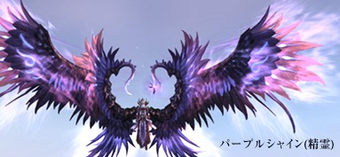 ���������꡼ No.006�Υ���ͥ������ / �֥ѡ��ե����ȥ��ɡס�2��åץǡ��� ��The Tabby�פ������»�