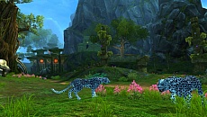 ꡼ No.027 | ֥ѡեȥɡסDeath's descendant ɤ317˼ꥢοפȡָϿ彧פξߥȤǸ