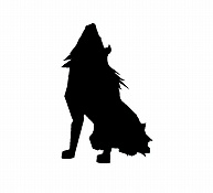 画像ギャラリー No.003のサムネイル画像 / 「モンスターファームDS2」初回生産分に「MFO」のレアモンが！