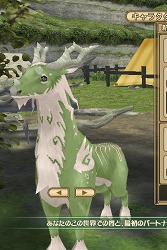 ꡼ No.006 | PRͤȻΡ֥󥹥ե 饰װϿ ΩơΩĤ⡪åƮԤδ