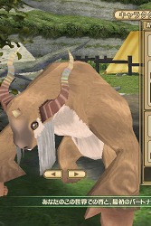 ꡼ No.007 | PRͤȻΡ֥󥹥ե 饰װϿ ΩơΩĤ⡪åƮԤδ