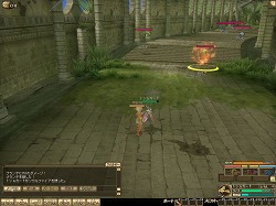 ꡼ No.031 | PRͤȻΡ֥󥹥ե 饰װϿ ΩơΩĤ⡪åƮԤδ