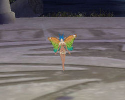 ꡼ No.003 | PRͤȻΡ֥󥹥ե 饰װϿ Ȥȥإåδ