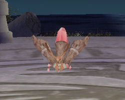 ꡼ No.013 | PRͤȻΡ֥󥹥ե 饰װϿ Ȥȥإåδ