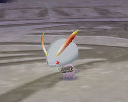 ꡼ No.019 | PRͤȻΡ֥󥹥ե 饰װϿ Ȥȥإåδ