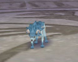 ꡼ No.021 | PRͤȻΡ֥󥹥ե 饰װϿ Ȥȥإåδ