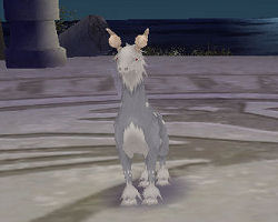 ꡼ No.027 | PRͤȻΡ֥󥹥ե 饰װϿ Ȥȥإåδ