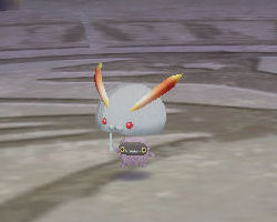 ꡼ No.031 | PRͤȻΡ֥󥹥ե 饰װϿ Ȥȥإåδ