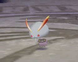 ꡼ No.033 | PRͤȻΡ֥󥹥ե 饰װϿ Ȥȥإåδ