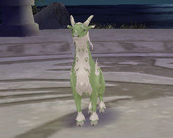 ꡼ No.041 | PRͤȻΡ֥󥹥ե 饰װϿ Ȥȥإåδ