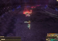 ꡼ No.005Υͥ / ֥󥹥ե 饰ס襤Ե̣ʿ󥹥