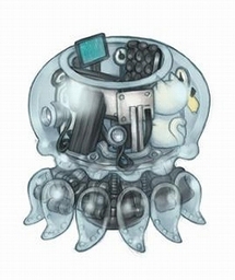 ������#049�Υ���ͥ���/��Angel Love Online�ס��緿���åץǡ��ȡ�Season 5���볤���á��ɤ俷��ǽ�ȥ����ɼ��������ƥ�ɤξܺ٤�Ƚ��