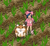 ꡼ No.019 | ȤۻҤΡɹˡȤʡɿãо졩AngelLoveOnline緿åץǡȡSeason9 ʹԥݡ