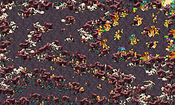 ꡼ No.005 | ٤϶ε⤹̤ϡӥƥƳAngelLoveOnline緿åץǡȡSeason10 εοԥݡ