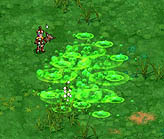 ꡼ No.023 | ٤϶ε⤹̤ϡӥƥƳAngelLoveOnline緿åץǡȡSeason10 εοԥݡ