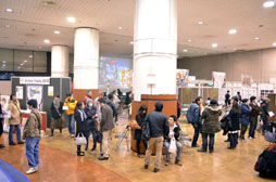 ���������꡼ No.051�Υ���ͥ������ / ���塼���󥿥ƥ�����ȤΥե��󴶼պס�Qonline Fiesta 2012�פ����ͤ��ݡ��ȡ��ƥ����ȥ�ο��������餫��