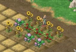 ���������꡼ No.006�Υ���ͥ������ / ��AngelLoveOnline�ס����������2�ܥ��٥�Ȥ����š�5��28���ޤ�