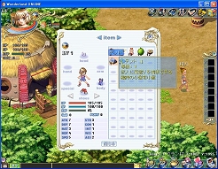 ������#004�Υ���ͥ���/��Wonderland ONLINE�ס����������ץ�¥ƥ��Ȥ򳫻�