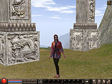 ���������꡼ No.022�Υ���ͥ������ / 4Gamer�Ȥ�500̾ʬ�ɲá���������MMORPG��METIN2�פΥ��������ɦ¥ƥ�������700̾�����³���罸��