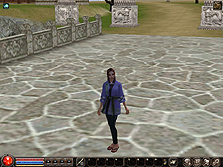 ���������꡼ No.024�Υ���ͥ������ / 4Gamer�Ȥ�500̾ʬ�ɲá���������MMORPG��METIN2�פΥ��������ɦ¥ƥ�������700̾�����³���罸��