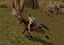 ꡼ No.004Υͥ / METIN2ס٥륭åפγ٥ޥåסֵڿפɲäԤԸåץǡȡֿݡפ421˼»