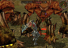 ꡼ No.005Υͥ / METIN2ס٥륭åפγ٥ޥåסֵڿפɲäԤԸåץǡȡֿݡפ421˼»