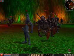 ꡼ No.005 | METIN2ΥåץǡȤǡּٵس